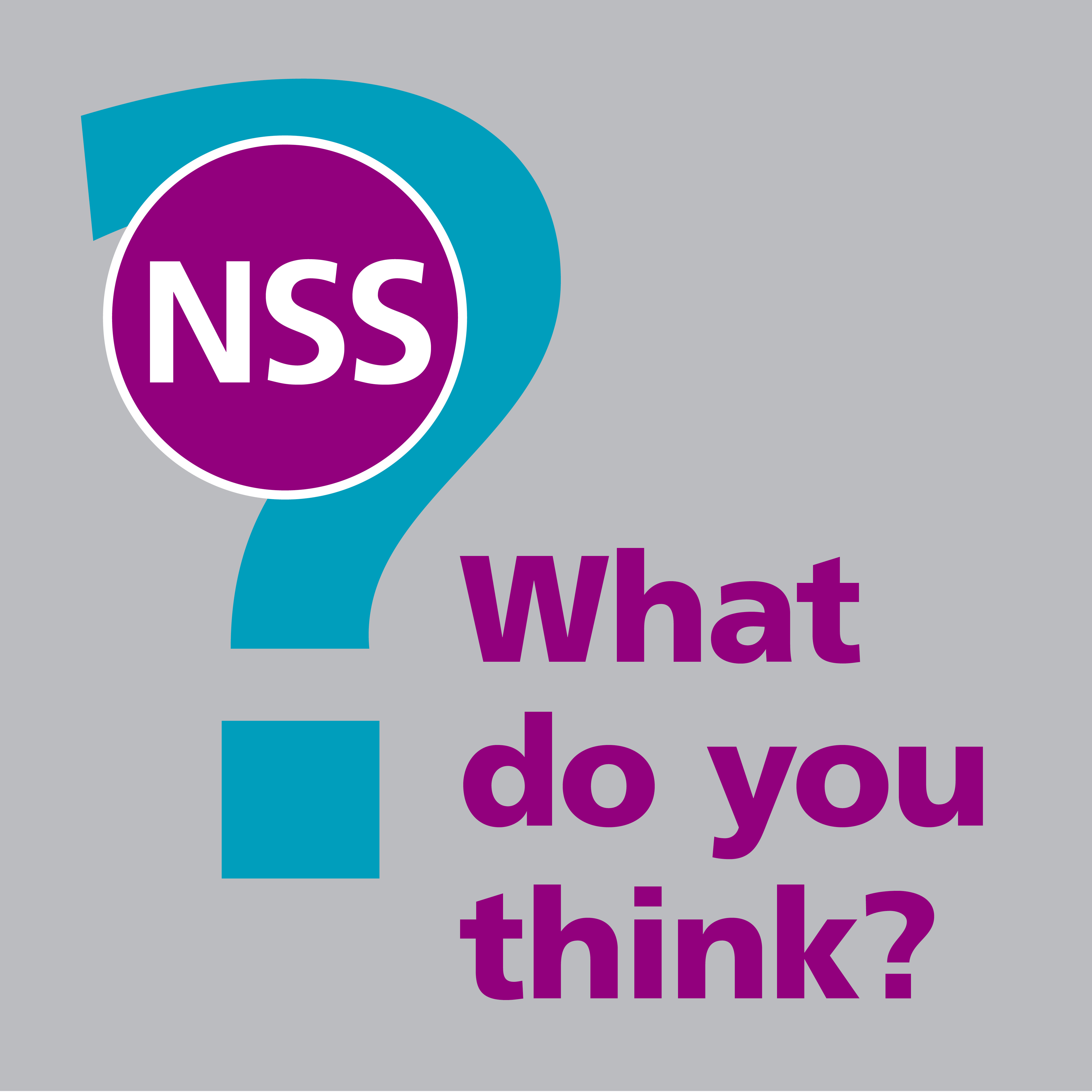 NSS What do you think?