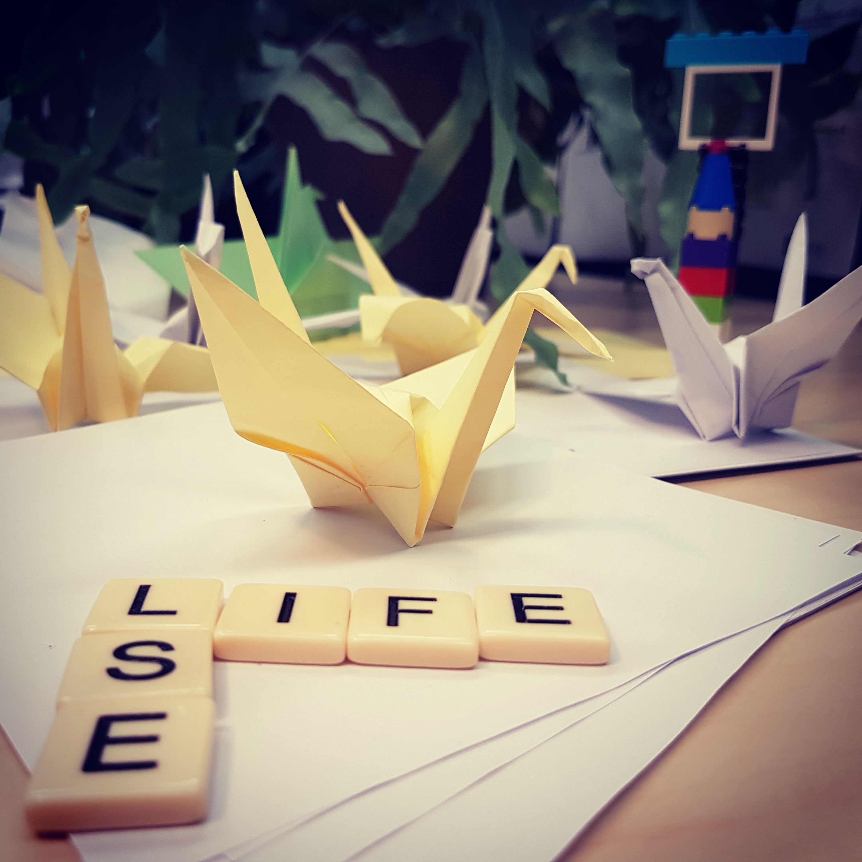 LSE Life 